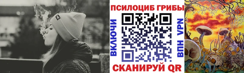 это как зайти  Алупка  Псилоцибиновые грибы Psilocybe  цены наркотик  OMG зеркало 